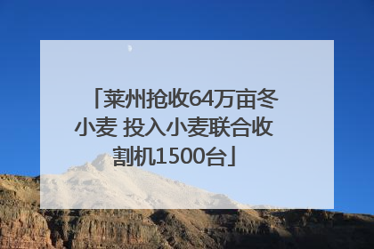 莱州抢收64万亩冬小麦 投入小麦联合收割机1500台