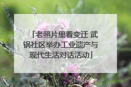 老照片里看变迁 武锅社区举办工业遗产与现代生活对话活动