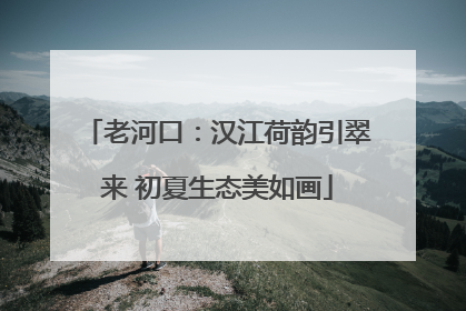 老河口：汉江荷韵引翠来 初夏生态美如画