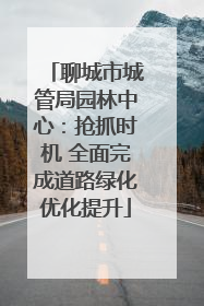 聊城市城管局园林中心：抢抓时机 全面完成道路绿化优化提升