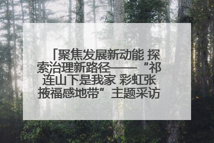 聚焦发展新动能 探索治理新路径——“祁连山下是我家 彩虹张掖福感地带”主题采访活动走进山丹