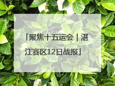 聚焦十五运会｜湛江赛区12日战报