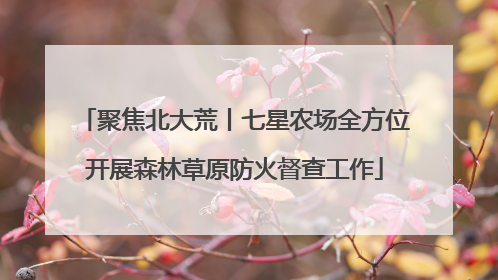 聚焦北大荒丨七星农场全方位开展森林草原防火督查工作