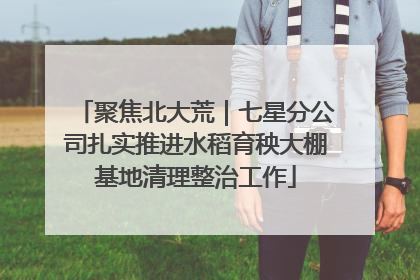 聚焦北大荒｜七星分公司扎实推进水稻育秧大棚基地清理整治工作
