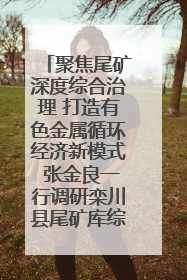 聚焦尾矿深度综合治理 打造有色金属循环经济新模式 张金良一行调研栾川县尾矿库综合治理工作