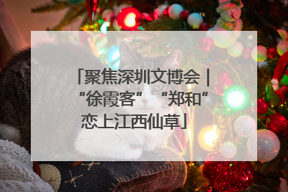 聚焦深圳文博会｜“徐霞客”“郑和”恋上江西仙草