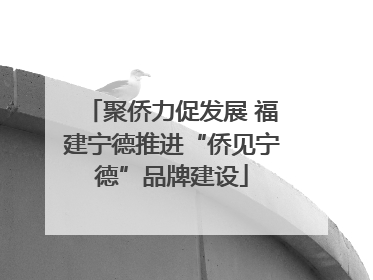聚侨力促发展 福建宁德推进“侨见宁德”品牌建设