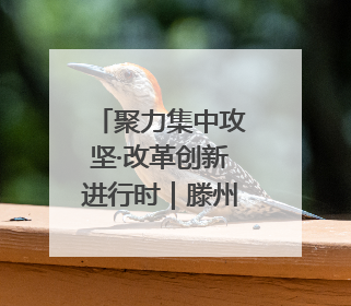 聚力集中攻坚·改革创新进行时｜滕州机床三成产品出口海外