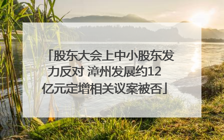 股东大会上中小股东发力反对 漳州发展约12亿元定增相关议案被否