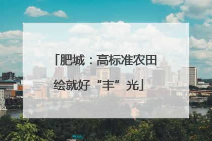 肥城：高标准农田绘就好“丰”光