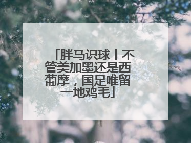 胖马识球丨不管美加墨还是西葡摩，国足唯留一地鸡毛