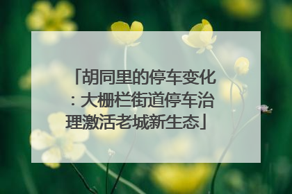 胡同里的停车变化：大栅栏街道停车治理激活老城新生态