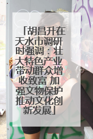 胡昌升在天水市调研时强调：壮大特色产业带动群众增收致富 加强文物保护推动文化创新发展