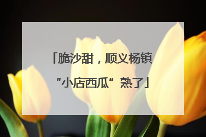 脆沙甜，顺义杨镇“小店西瓜”熟了