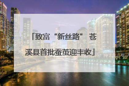 致富“新丝路” 苍溪县首批蚕茧迎丰收