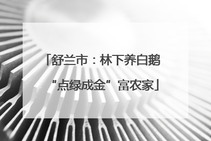 舒兰市：林下养白鹅 “点绿成金”富农家