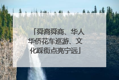 舜裔舜商、华人华侨花车巡游、文化踩街点亮宁远