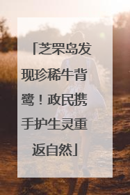 芝罘岛发现珍稀牛背鹭！政民携手护生灵重返自然