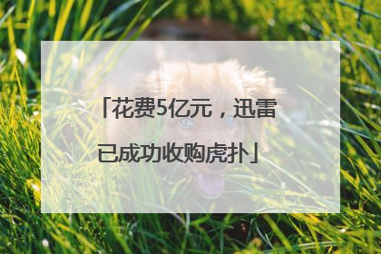 花费5亿元，迅雷已成功收购虎扑