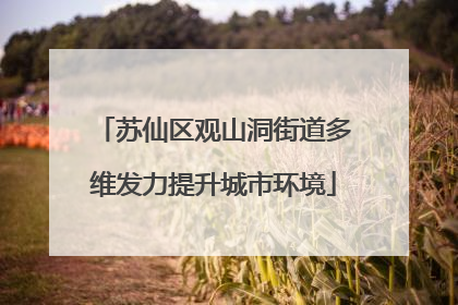 苏仙区观山洞街道多维发力提升城市环境