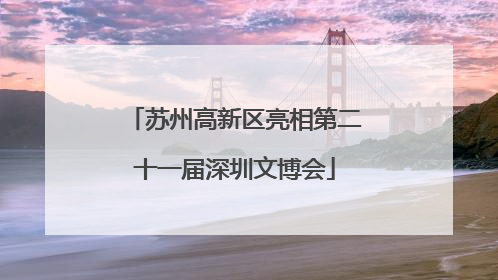 苏州高新区亮相第二十一届深圳文博会