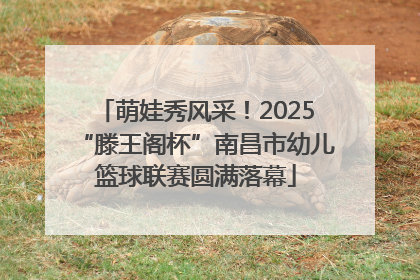 萌娃秀风采！2025“滕王阁杯”南昌市幼儿篮球联赛圆满落幕
