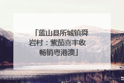 蓝山县所城镇舜岩村：紫茄喜丰收 畅销粤港澳