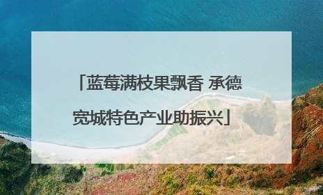 蓝莓满枝果飘香 承德宽城特色产业助振兴