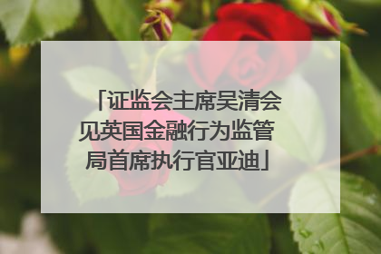 证监会主席吴清会见英国金融行为监管局首席执行官亚迪