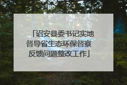 诏安县委书记实地督导省生态环保督察反馈问题整改工作