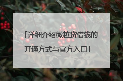 详细介绍微粒贷借钱的开通方式与官方入口