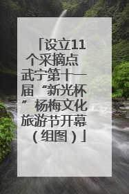 设立11个采摘点 武宁第十一届“新光杯”杨梅文化旅游节开幕（组图）