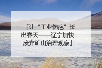 让“工业伤疤”长出春天——辽宁加快废弃矿山治理观察