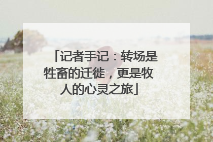 记者手记：转场是牲畜的迁徙，更是牧人的心灵之旅