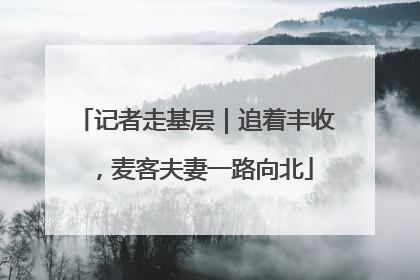 记者走基层｜追着丰收，麦客夫妻一路向北