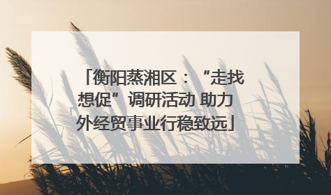 衡阳蒸湘区：“走找想促”调研活动 助力外经贸事业行稳致远