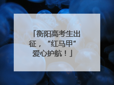 衡阳高考生出征，“红马甲”爱心护航！