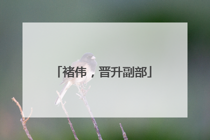 褚伟，晋升副部