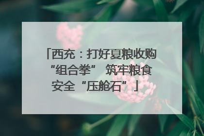 西充：打好夏粮收购“组合拳” 筑牢粮食安全“压舱石”