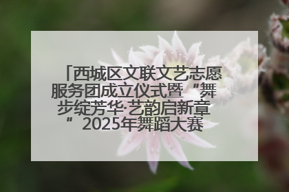 西城区文联文艺志愿服务团成立仪式暨“舞步绽芳华·艺韵启新章”2025年舞蹈大赛展演圆满举办