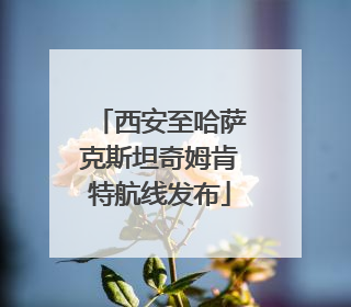 西安至哈萨克斯坦奇姆肯特航线发布