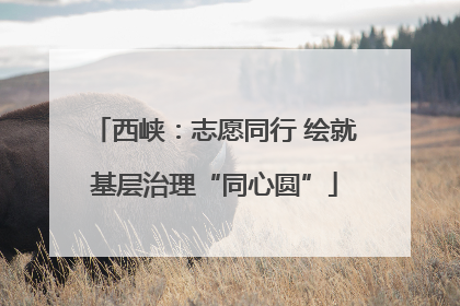 西峡：志愿同行 绘就基层治理“同心圆”
