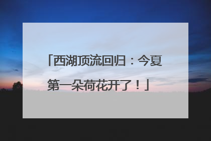 西湖顶流回归：今夏第一朵荷花开了！