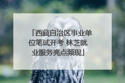 西藏自治区事业单位笔试开考 林芝就业服务亮点频现
