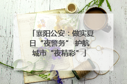 襄阳公安：做实夏日“夜警务” 护航城市“夜精彩”