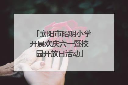 襄阳市昭明小学开展欢庆六一暨校园开放日活动