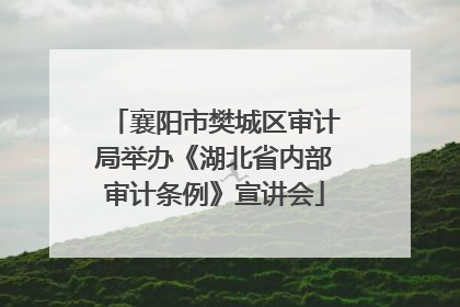 襄阳市樊城区审计局举办《湖北省内部审计条例》宣讲会