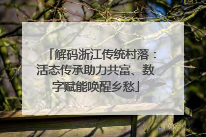 解码浙江传统村落：活态传承助力共富、数字赋能唤醒乡愁
