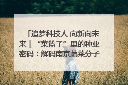 追梦科技人 向新向未来｜“菜篮子”里的种业密码：解码南京蔬菜分子育种的创新之路