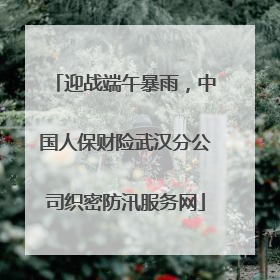 迎战端午暴雨，中国人保财险武汉分公司织密防汛服务网